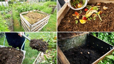 Préparer son compost maison pour un jardin bien nourri