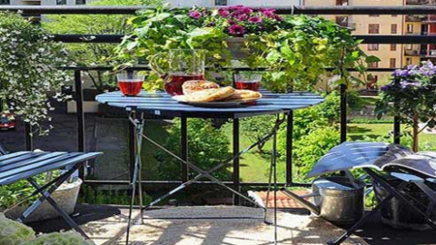 Quelles plantes choisir pour son balcon